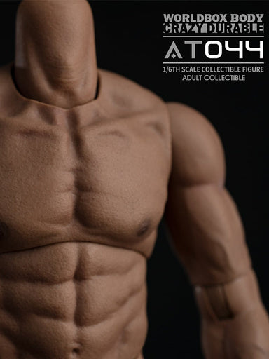 In-stock 1/6 Worldbox AT044 Muscular male body BW/O Neck