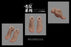 Pre-order 1/6 VS toys 24XG111 24XG112 Female Feet in Gestures Accessories