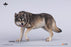 In-stock 1/6 JXK JXK242 Direwolf Figurine