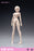 In-stock 1/12 86TOYS X Longshan T86-ST01234A Semi-Seamless Pale Female Body