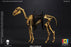 Pre-order 1/12 101TOYS PALM ELF SERIES Skeleton Skeleton Horse ES016