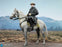 Pre-order 1/6 DID E60086 White War Horse (Standing) Scene & Diorama