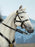 Pre-order 1/6 DID E60086 White War Horse (Standing) Scene & Diorama