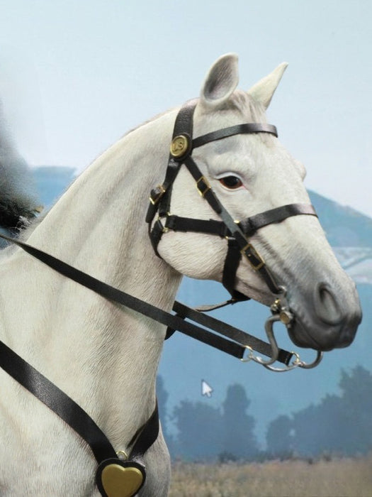 Pre-order 1/6 DID E60086 White War Horse (Standing) Scene & Diorama