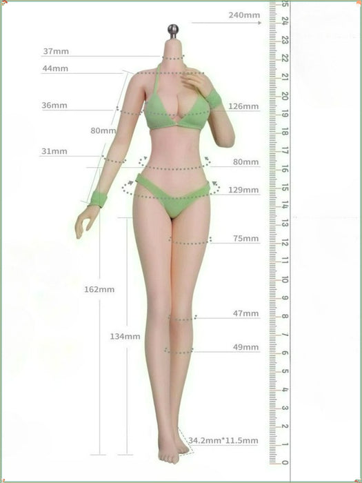 Pre-order 1/6 Mojoy MJ-AF01 & MJ-AF02 Seamless Female Figure Body Without Head