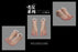 Pre-order 1/6 VS toys 24XG111 24XG112 Female Feet in Gestures Accessories