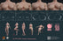 Pre-order 1/6 i8TOYS I8-FB-003 Seamless Female Body (A-Moveable Chest/B-Non-moveable Chest)