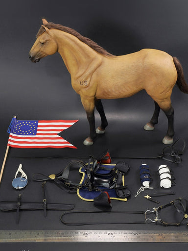 In-stock  1/6 DID E60076 Civil War Brown War Horse (Standing) Reissue