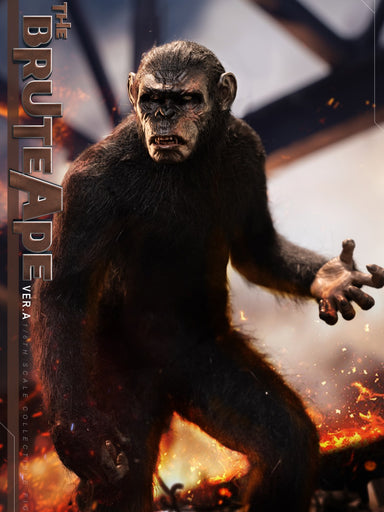 Pre-order 1/6 Hell Cat 202402 Ape Leader Action Figure