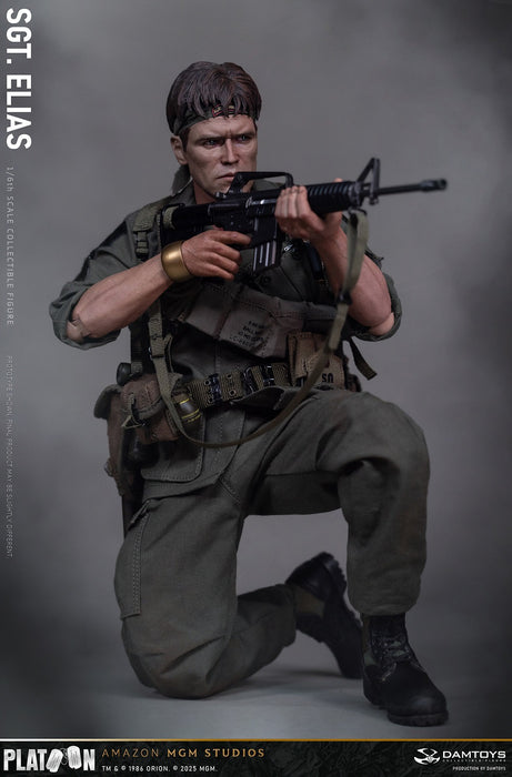 Pre-order 1/6 DAMTOYS DMS047 Sergeant Elias Action Figure