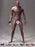 In-stock TBLeague 1/6th Super-Flexible Male Seamless Body M36 PL2018-M36 (Censored)