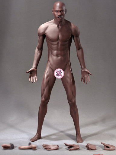 In-stock TBLeague 1/6th Super-Flexible Male Seamless Body M36 PL2018-M36 (Censored)