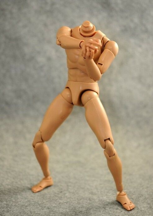 1/6 body Slim Shoulder for long-neck head sculpts BW/Neck