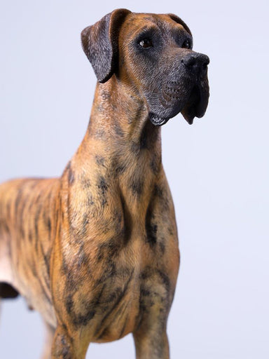 In-stock 1/6 JXK JXK237 Great Dane Figurine