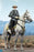 Pre-order 1/6 DID E60086 White War Horse (Standing) Scene & Diorama