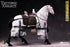In-stock 1/6 COOMODEL SE137 Teutonic Knights Crusader Warhorse