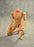 1/6 body Slim Shoulder for long-neck head sculpts BW/Neck