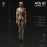 Pre-order 1/6 JPT ATX-01 Male body