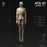 Pre-order 1/6 JPT ATX-01 Male body
