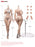Pre-order 1/6 TBLeague SR-BD01 & SR-BD02 Body-Narrow Shoulders Curvy Hips Expressive Eyes without head sculpt version