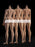 Pre-order 1/6 Verycool VCD-03 Female Body (Full Figure Style)