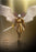 Pre-order 1/12 LUCIFER LXF2311 Dawn Wings Action Figure