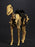 Pre-order 1/12 101TOYS PALM ELF SERIES Skeleton Skeleton Horse ES016