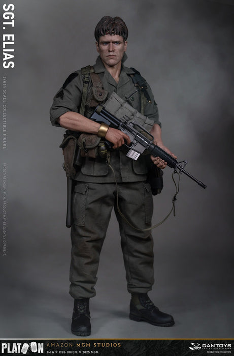 Pre-order 1/6 DAMTOYS DMS047 Sergeant Elias Action Figure
