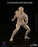 Pre-order 1/12 Crazy Figure LT003 Male Body Figure