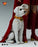 Pre-order 1/6 INART AgA040 Supergirl (2026) - Supergirl Action Figure