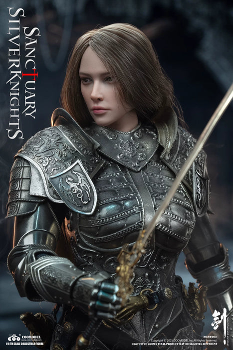 Pre-order 1/6 COOMODEL SW002 / SW003 SWORDS OF CHAOS - TEMPLE GUARDIANS