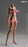 In-stock 1/6 Verycool VCD01 Seamless Female Body Mid Bust
