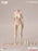 In-stock 1/6 True1Toys EC3028 Narrow Shoulder Fully Articulated Joints Female Body (Large-bust)