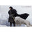 Pre-order 1/12 LPZZ Jon Snow Game of Thrones Accessory Pack