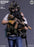 Pre-order 1/6 DAMTOYS 78114 HK SDU Assault Team Leader Action Figure