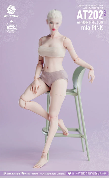 Pre-order 1/6 WORLD BOX AT202Pro Female Body