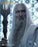 Pre-order 1/6 INART Ag A041 The Lord of the Rings: Saruman Action Figure