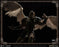 Pre-order 1/12 Fusion Fantasy FTM3-01L Heroes of Magic III - Archangel (Limited Edition)
