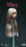 Pre-order 1/6 BOBITOYS BO001 YanZao Series - Clara Movable Eye Head Sculpt (ABCD)