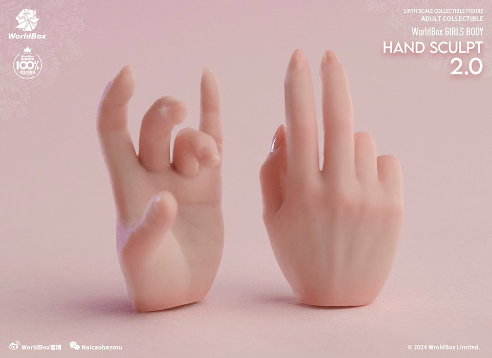 Pre-order 1/6 Worldbox AT209 Hand Sculpt Set