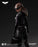 Pre-order 1/12 INART HgM0002 TDK Catwoman Action Figure
