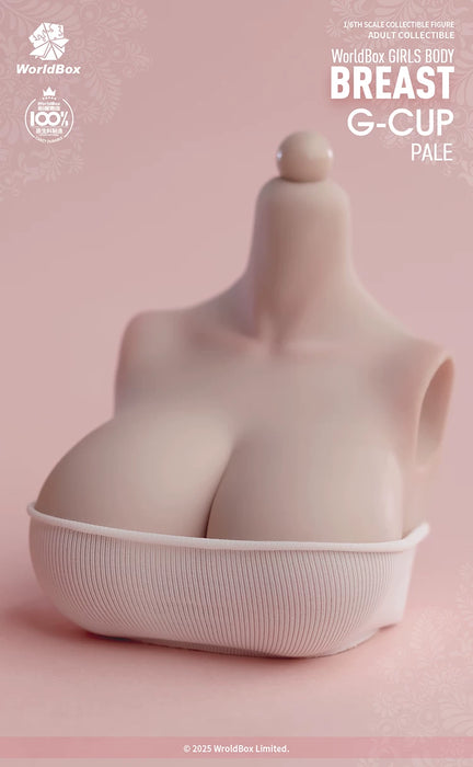 Pre-order 1/6 WORLD BOX Breast G-Cup Enhancement Replacement Accessories