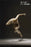 Pre-order 1/6 JPT ATX-01 Male body