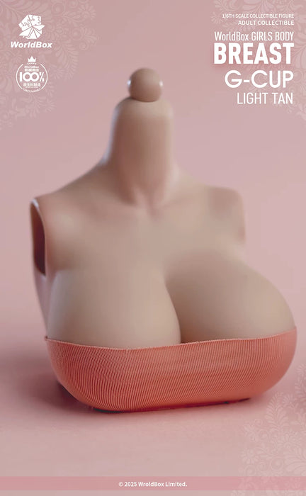 Pre-order 1/6 WORLD BOX Breast G-Cup Enhancement Replacement Accessories