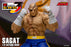 Pre-order 1/12 Storm Collectibles SFSA03 SAGAT - Street Fighter ZERO 3 "STORM ARENA"