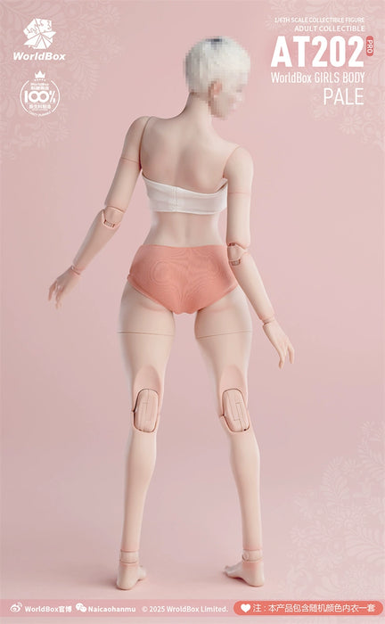 Pre-order 1/6 WORLD BOX AT202Pro Female Body