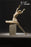 Pre-order 1/6 JPT ITX-01M Boobless female body