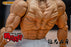 Pre-order 1/12 Storm Collectibles KIBK05 Baki Hanma Action Figure