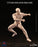 Pre-order 1/12 Crazy Figure LT003 Male Body Figure