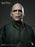 Pre-order 1/6 INART Ag A047 Harry Potter and the Deathly Hallows - Voldemort